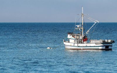 Fishermen advocate begins campaign against offshore wind, ‘industrializing’ of the ocean