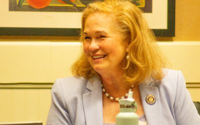 California Senate panel OKs bill helping overseas voters