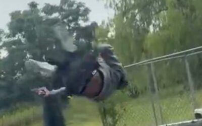 Social media video is case study in how not to exercise your Second Amendment rights