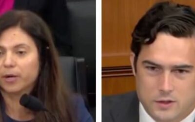 ‘I am not a nutritionist’: GOP rep presses ‘expert’ on why taxpayers need to pay for people’s soda