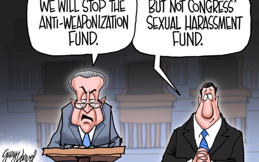 BS daily political cartoons: Mamdani has his own Israel march after skipping parade