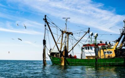 It’s time for Washington to put American fisheries first