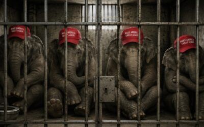 Democrats signal new push to prosecute Trump officials in preparation for 2028
