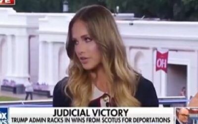 Tomi Lahren blasts DHS Sec. over path for Haitians: ‘Don’t be surprised if Conservatives stay home in Nov’