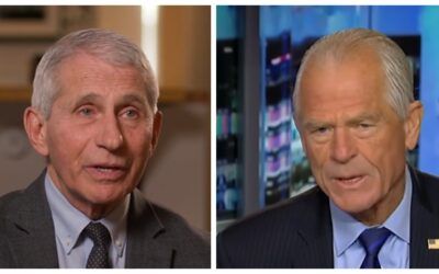 Peter Navarro fumes Fauci pardon is not legit, he needs to answer for ‘creating’ Covid, killing people
