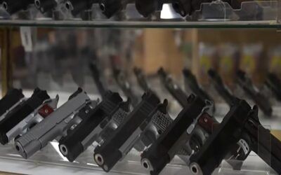 Only 5 Democrats backed bill that would ban tracking gun purchases