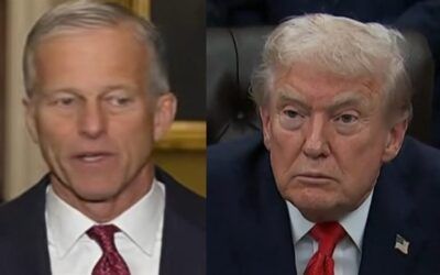 Thune tells Trump ‘not happening’ as voter ID demand gets cut from spy powers bill