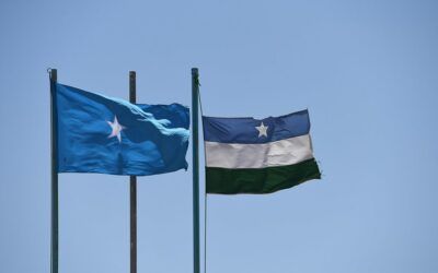 Some Somali kids allegedly spent their July 4 weekend shooting people