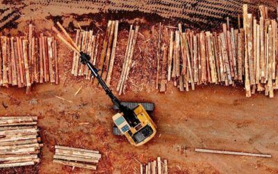 Exclusive: USDA distributing loans to Oregon, Nevada sawmills to expand timber production