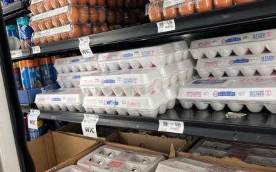 DOJ, states could secure 53 million eggs in price manipulation settlement
