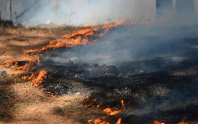 Minnesota wildfires prompt burning restrictions as air quality improves