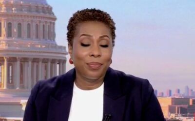 CNN host eats humble pie after appearing to think parody post was legit
