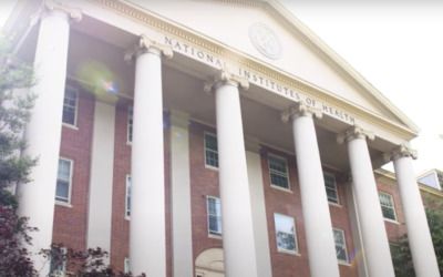 NIH gives award to ‘gender minority birthing people’ study
