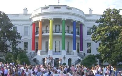 Fewer gay professionals feel being gay helps their career