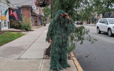 Officer disguised as bush helps nail 74 distracted drivers
