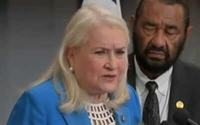 Dem lawmaker pitches ‘brilliant’ idea on how to stop a car being used as a weapon