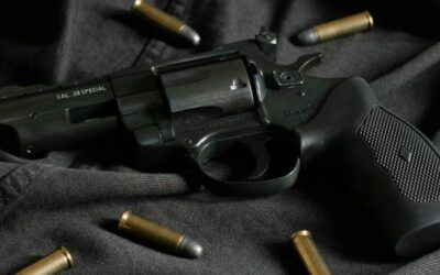 How one felon’s legal fight could change the face of federal gun laws forever