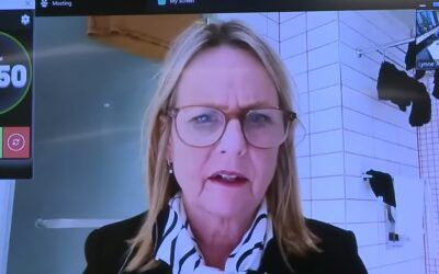 Councilwoman airs her intimates from her bathroom while on important Zoom meeting