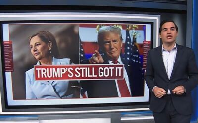 Trump finds someone at CNN he actually likes — and begs network not to fire him