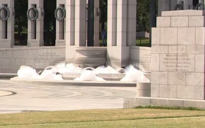 ‘Where do these animals come from?’ Trump erupts, vandal suspects to WWII Memorial arrested