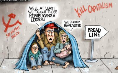 BS daily political cartoons: We should have voted