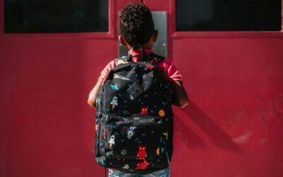 Taxpayers fund 450 million ‘free’ school meals in Minnesota