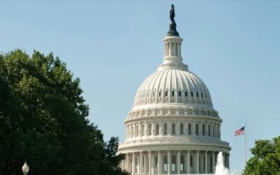 Trump opposed placing guardrails on ai amid tech industry’s fears. Here’s what lawmakers had to say