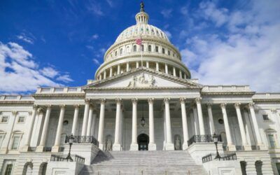 Tech giants want swamp to slow down AI race, but it doesn’t seem all that interested