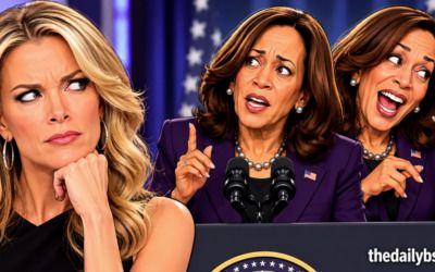 Mediaite calls Megyn Kelly ‘racist and factually incorrect’ over Kamala jab — there’s a problem with the fact-check