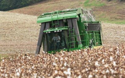 On National Farmers Day, farm stuck in limbo