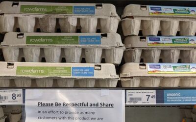 Egg price fixing shouldn’t be just another cost of doing business